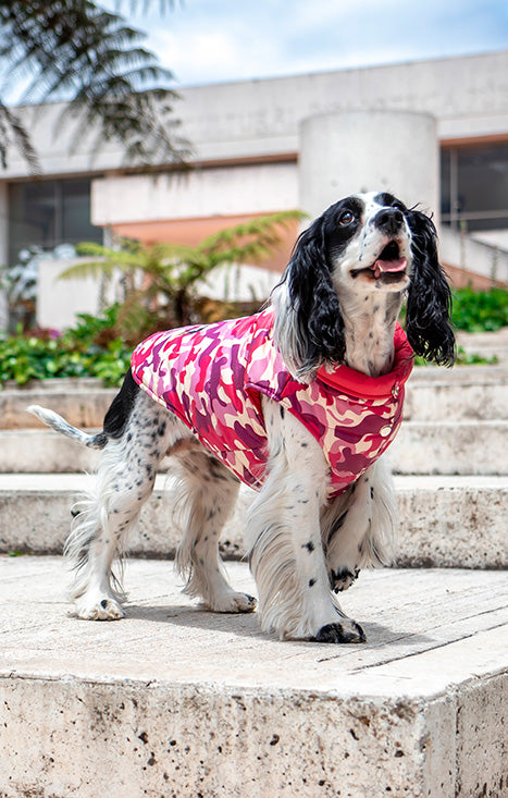 Pink Camo Padded Dog Vest