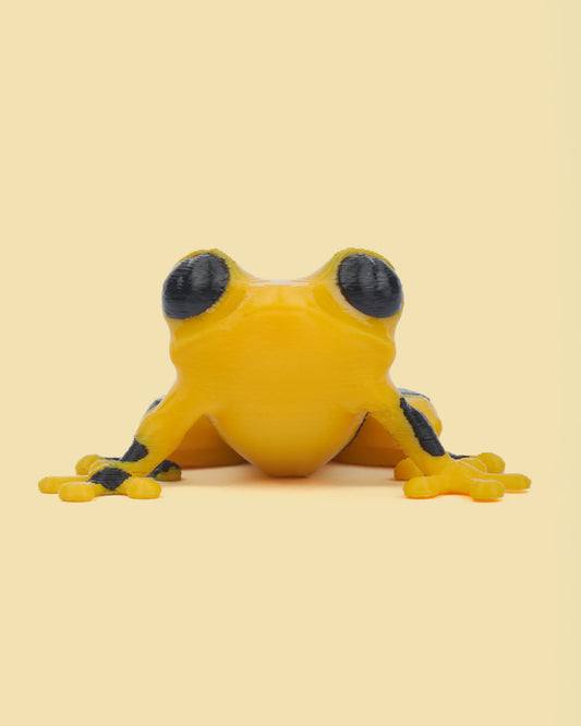 Colombian Poison Dart Frogs Collection – 3D Printed Frog Figures