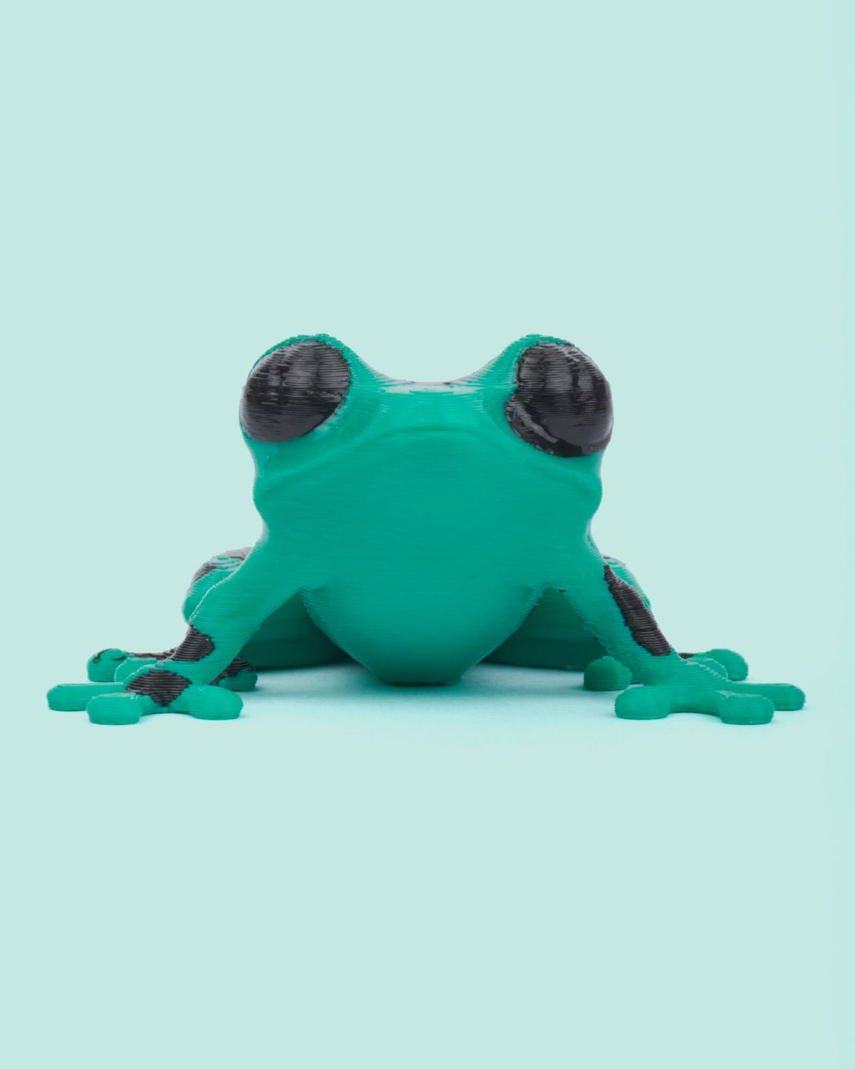 Colombian Poison Dart Frogs Collection – 3D Printed Frog Figures