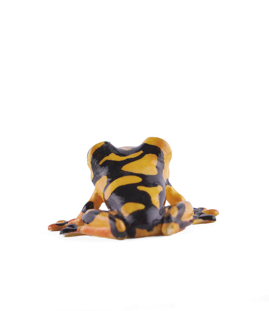 Hand-Painted Colombian Frog 3D printed fridge magnet
