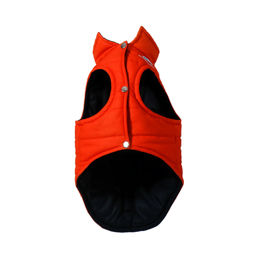 Chocoramo Padded Dog Vest