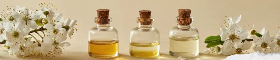 Coffee Toffee premium fragrance oil for oil burners