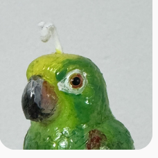 Parrot silicone candle mold