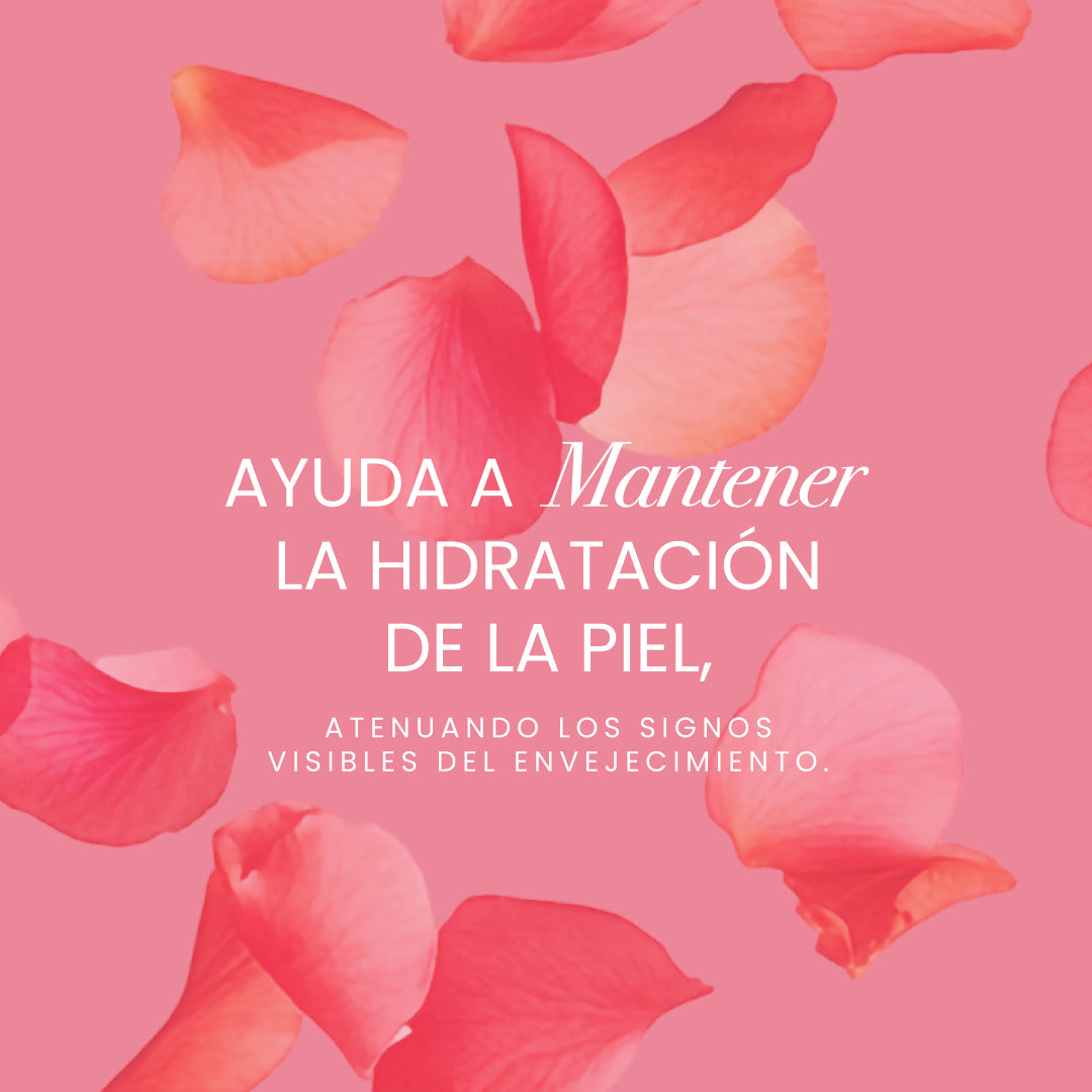 Dermo Hyaluronic