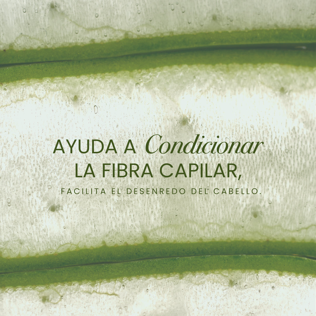Argan & Aloe Vera Conditioner 500 ml