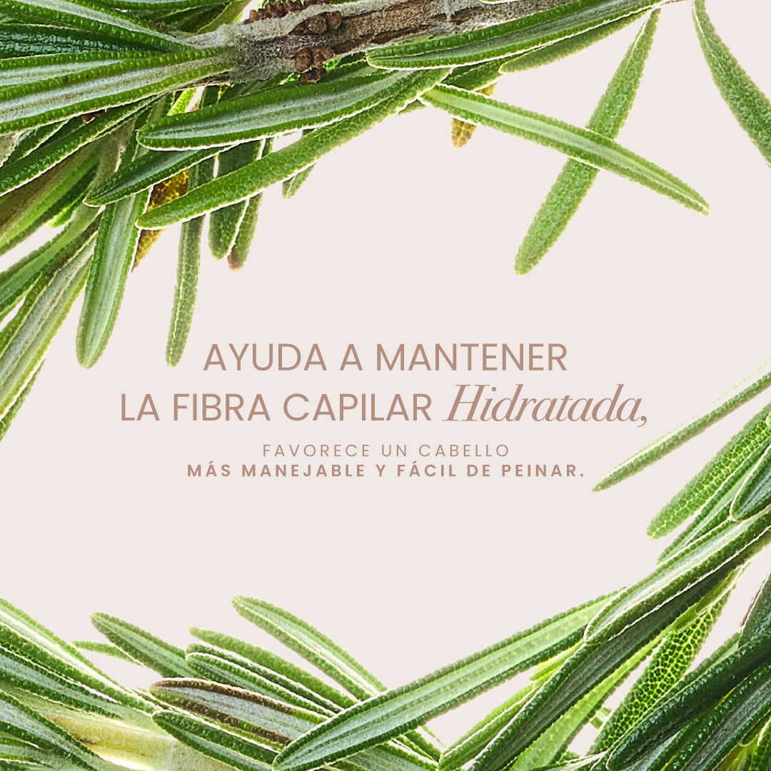 Rosemary Conditioner 500 ml