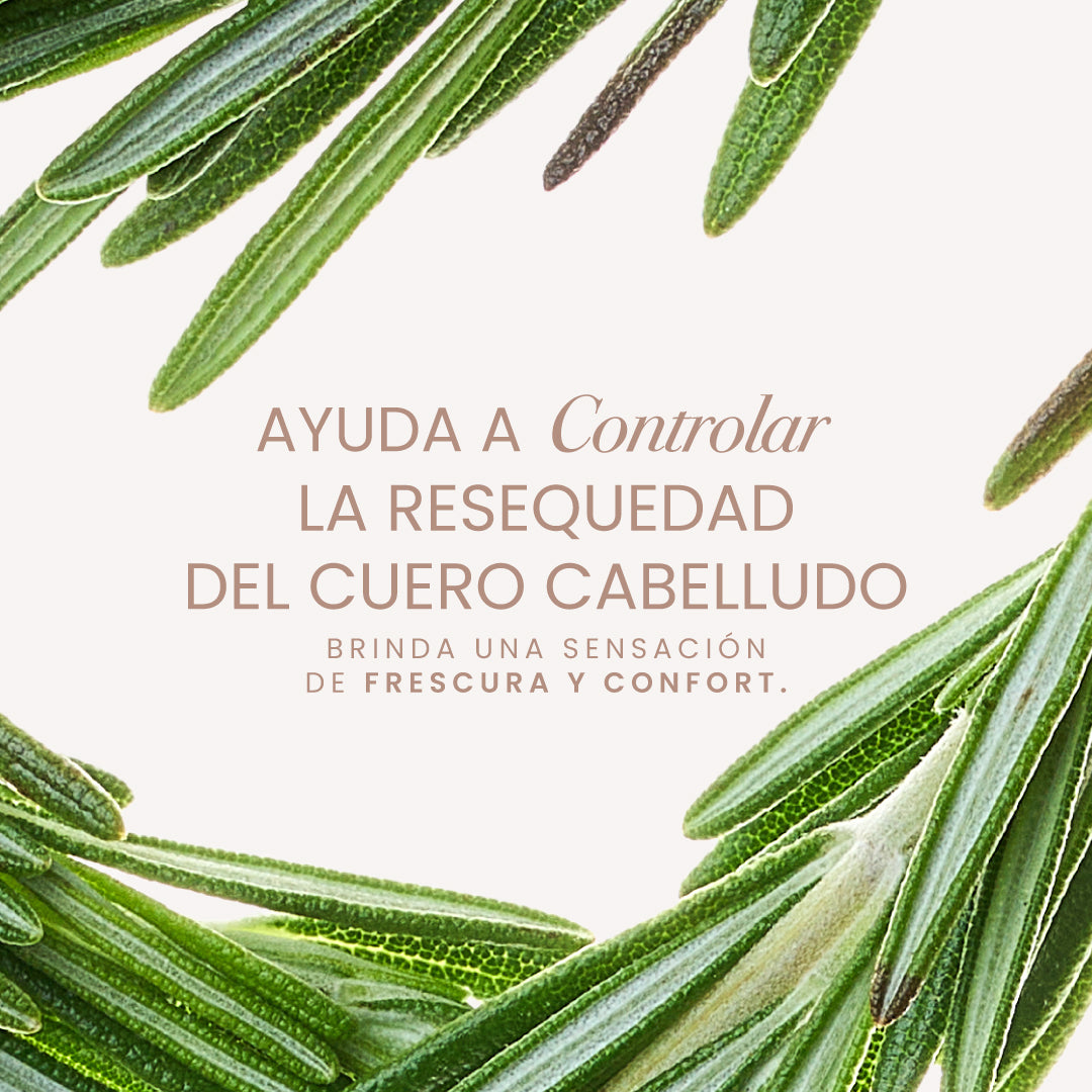 Aura Capilar Hair Oil with Rosemary & Mint