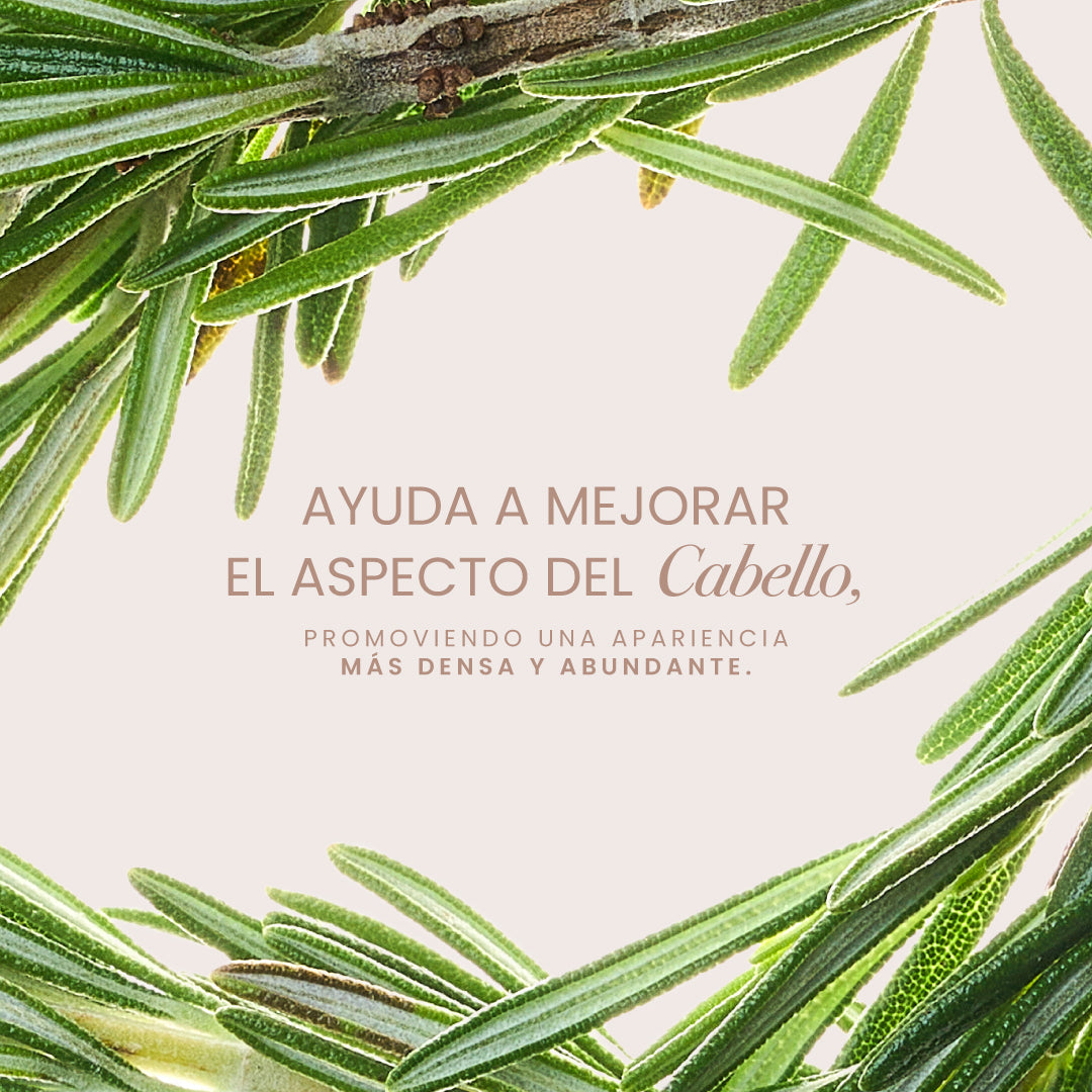 Rosemary Hair Biotherapy Treatment
