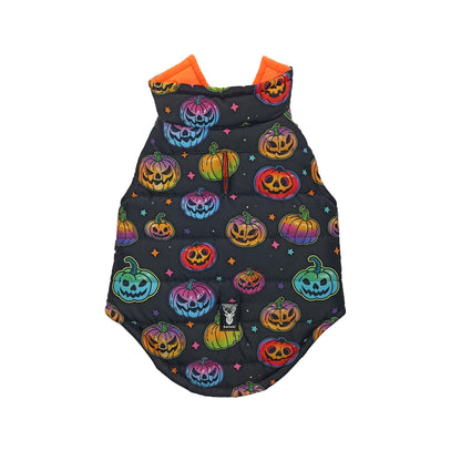 Pumpkins Padded Dog Vest
