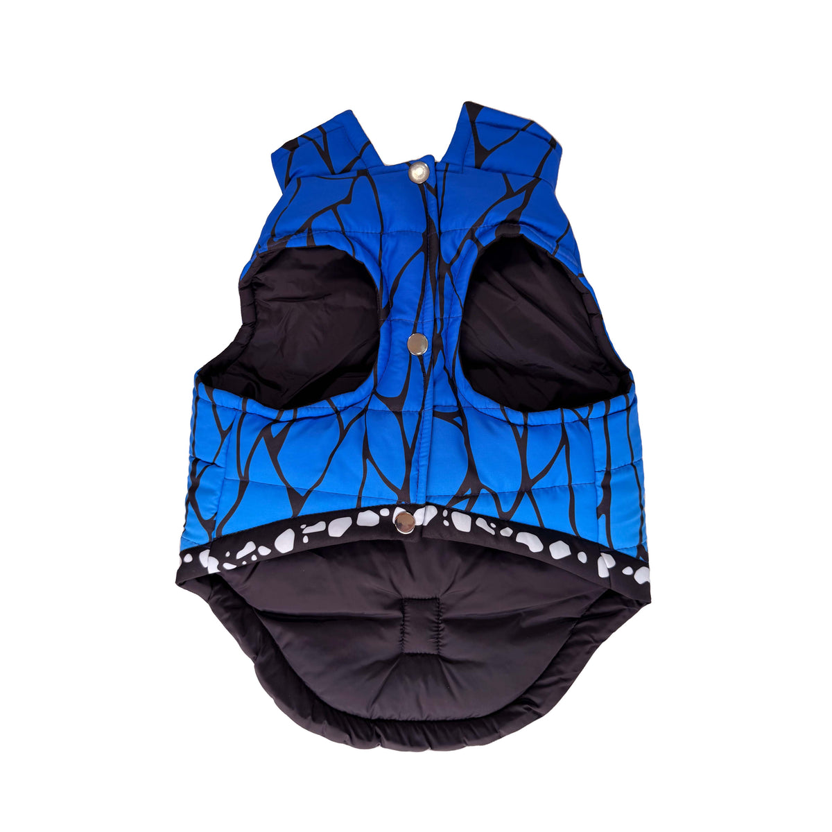 Blue Butterfly Padded Dog Vest