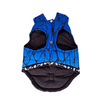 Blue Butterfly Padded Dog Vest