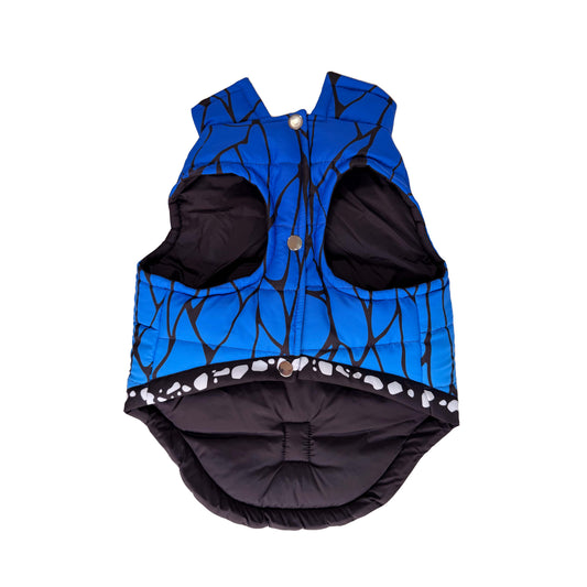 Blue Butterfly Padded Dog Vest