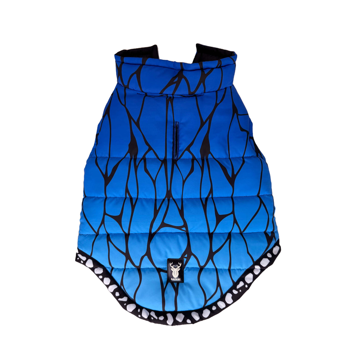 Blue Butterfly Padded Dog Vest