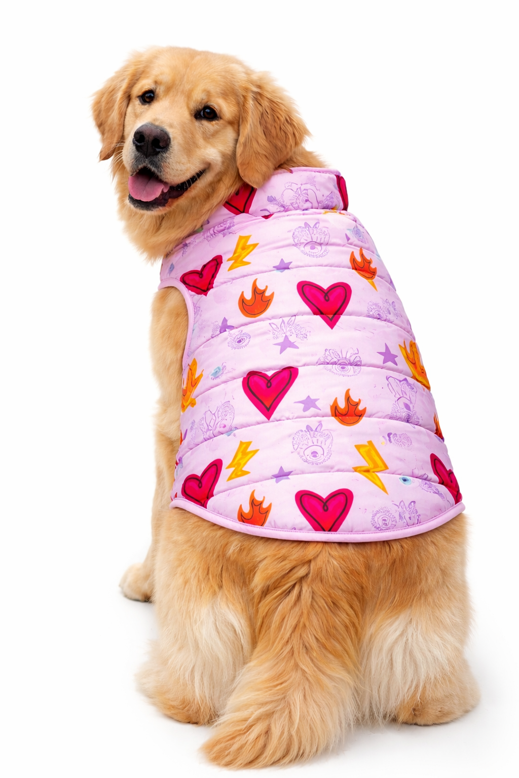 Love Padded Dog Vest