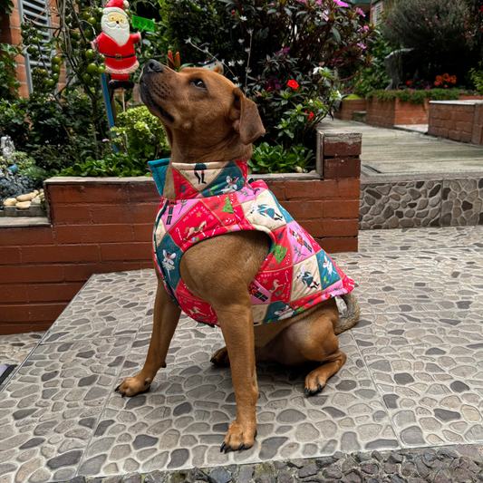 Nutcracker Padded Dog Vest