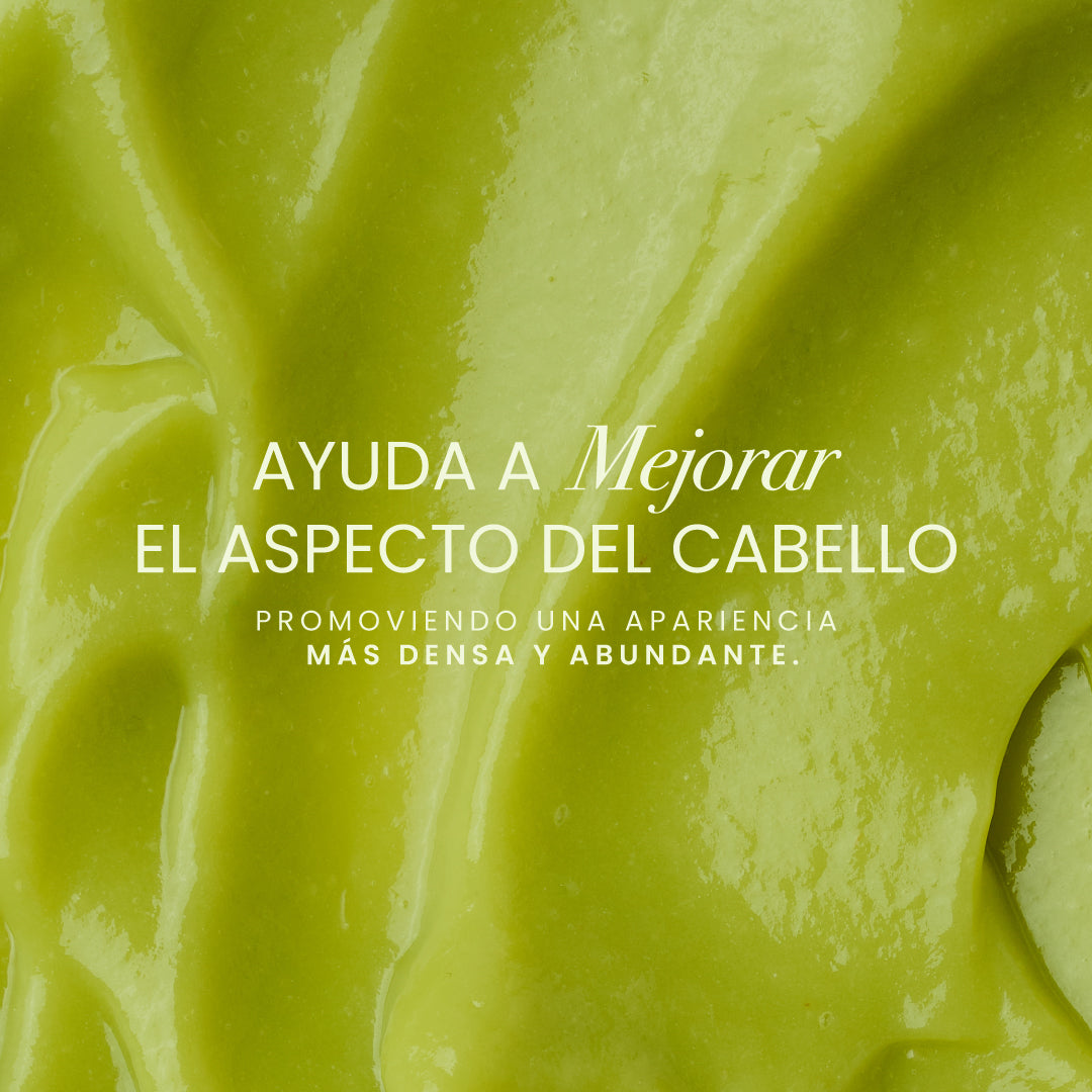Avocado Shampoo 500 ml