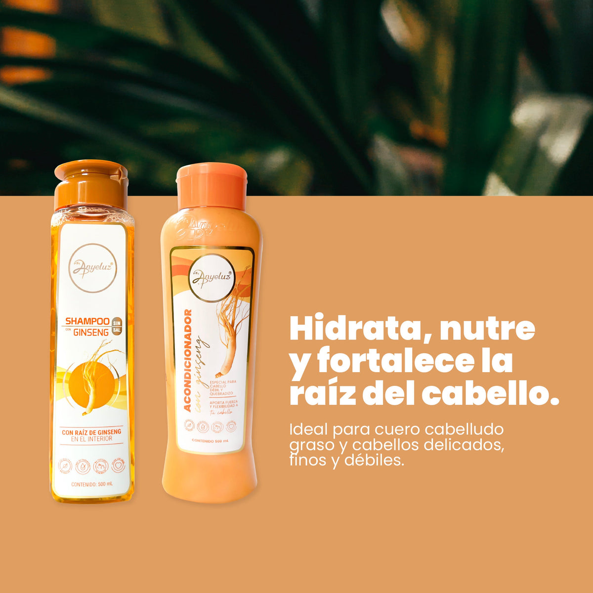 Ginseng Thickening Duo