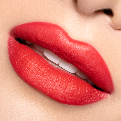 Matte Lipstick & Lip Liner Duo Kit
