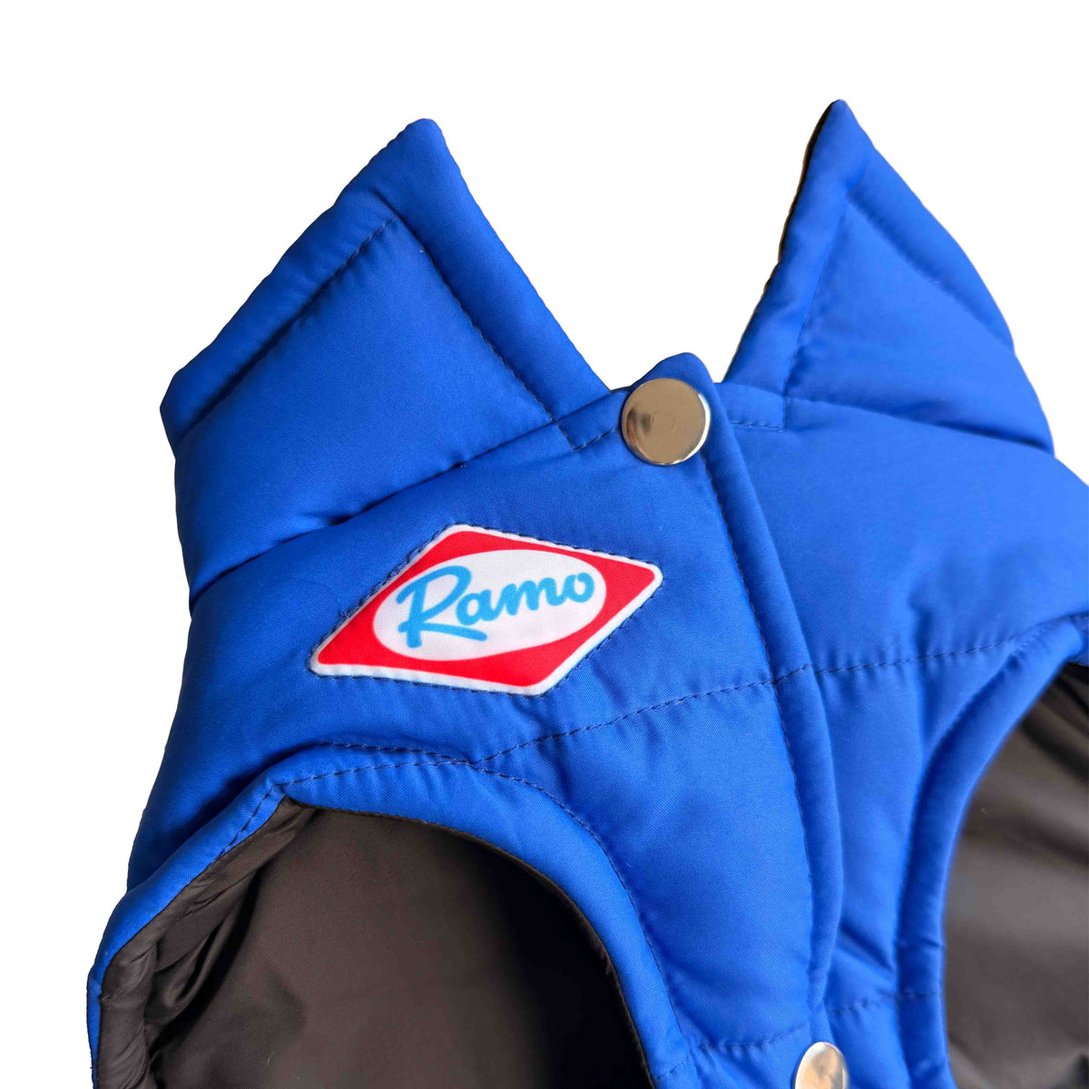 Lecheritas Padded Dog Vest