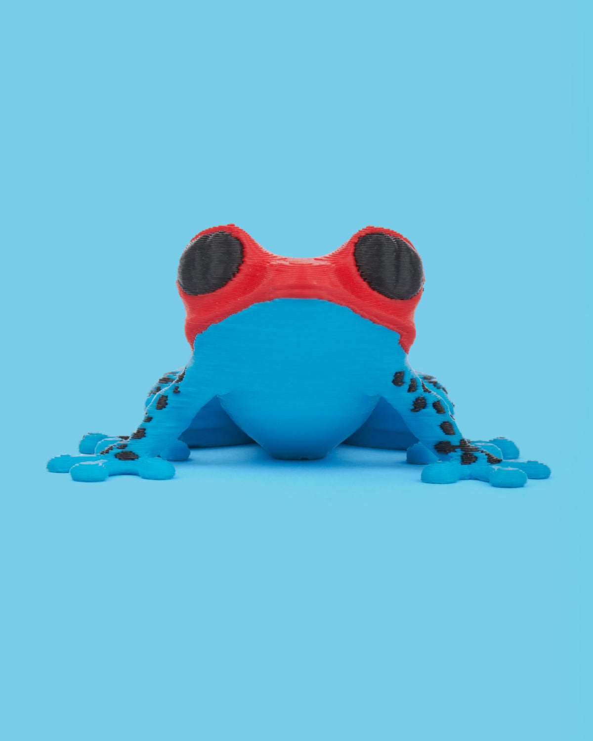 Colombian Poison Dart Frogs Collection – 3D Printed Frog Figures