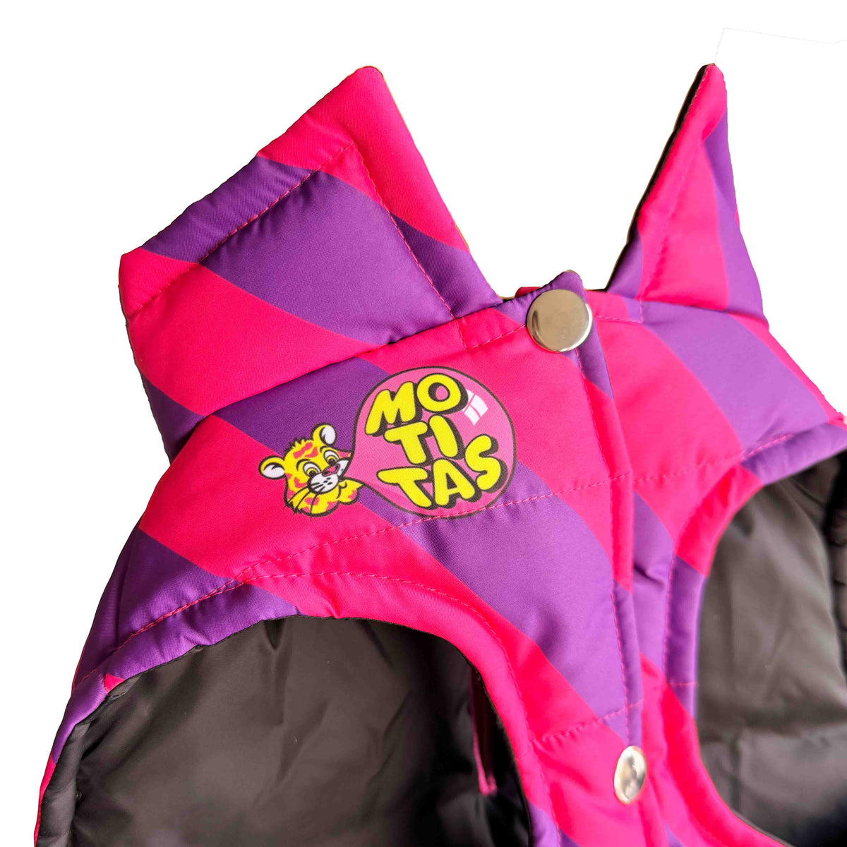 Motitas Morazul Padded Dog Vest