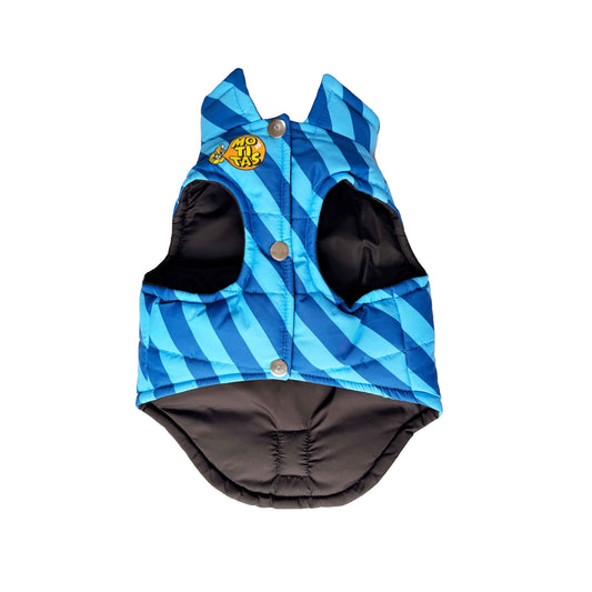 Motitas Mint Padded Dog Vest