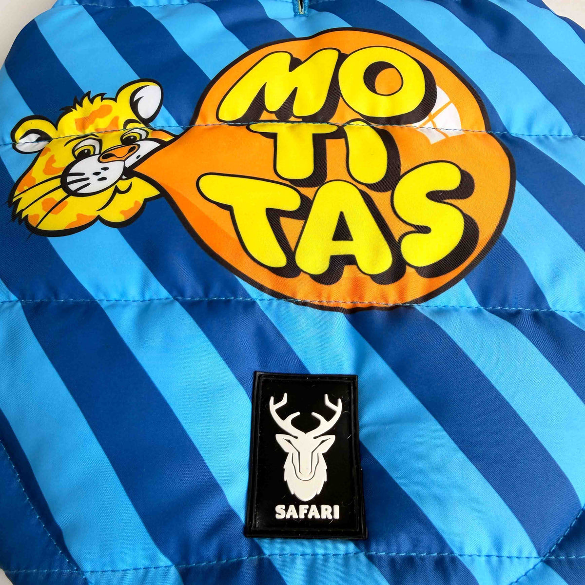 Motitas Mint Padded Dog Vest