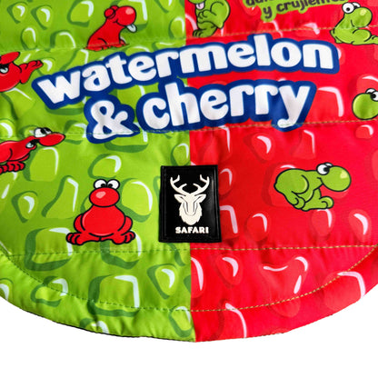 Nerds Watermelon Padded Dog Vest