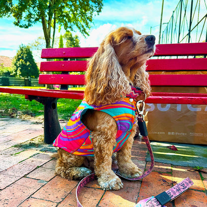 Psychedelic Tropical Padded Dog Vest