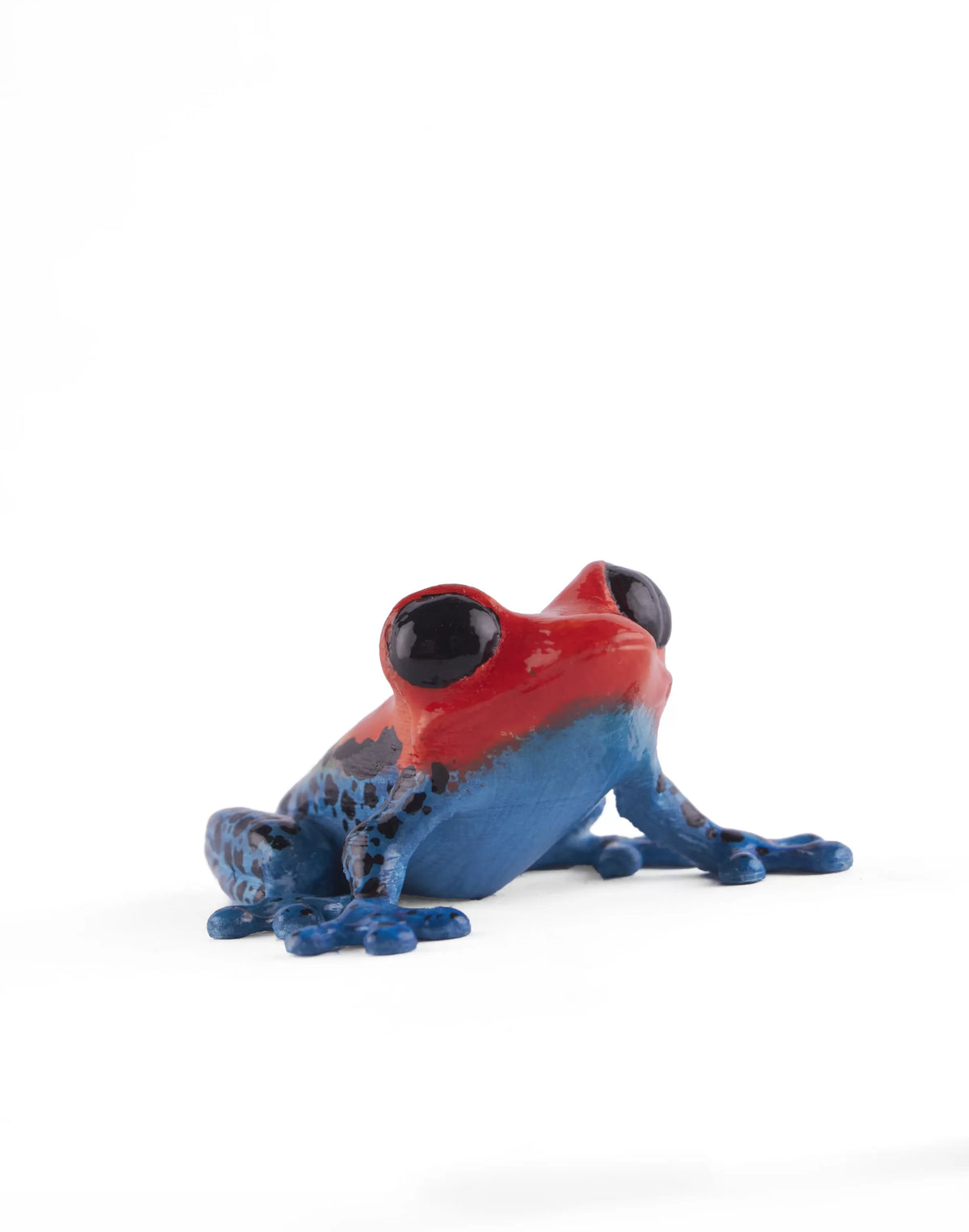 Hand-Painted Colombian Frog Fridge Magnet – 3D Printed Refrigerator Magnet