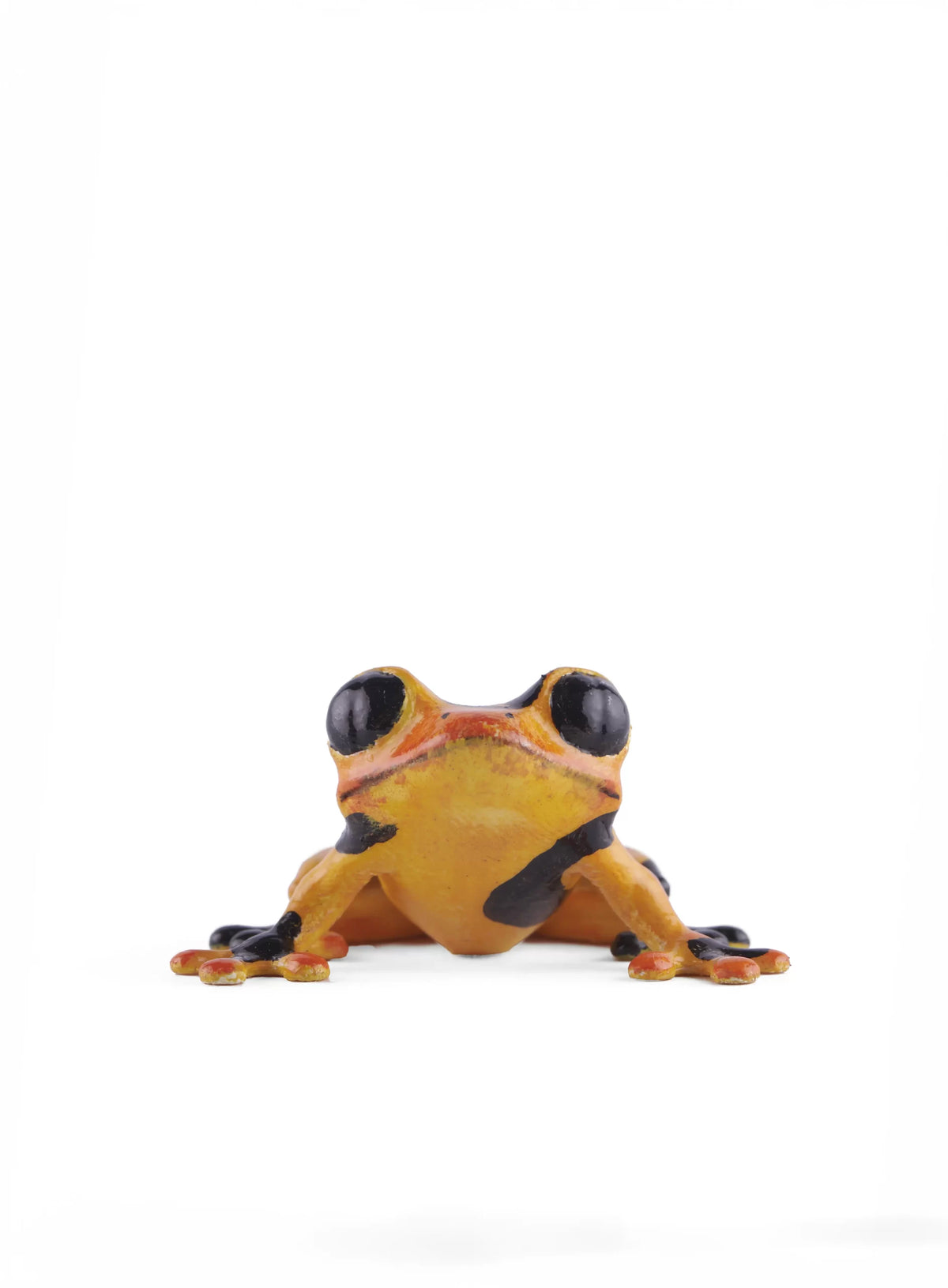 Hand-Painted Colombian Frog 3D printed fridge magnet