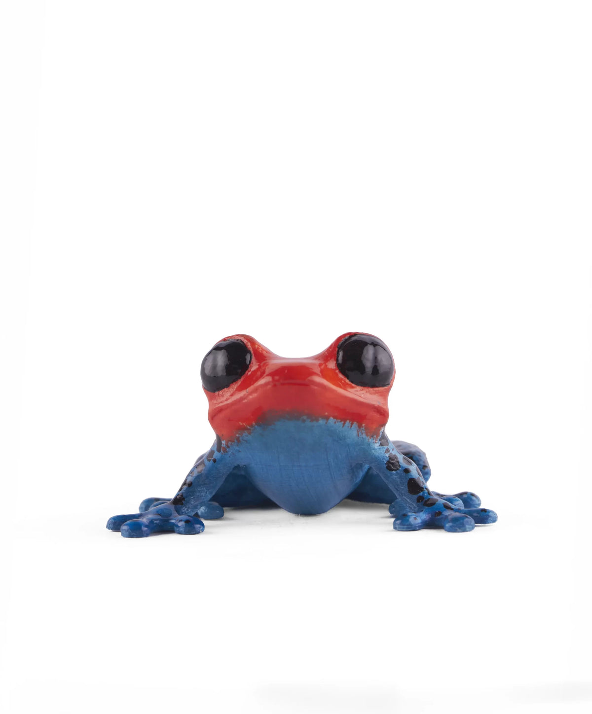 Hand-Painted Colombian Frog 3D printed fridge magnet