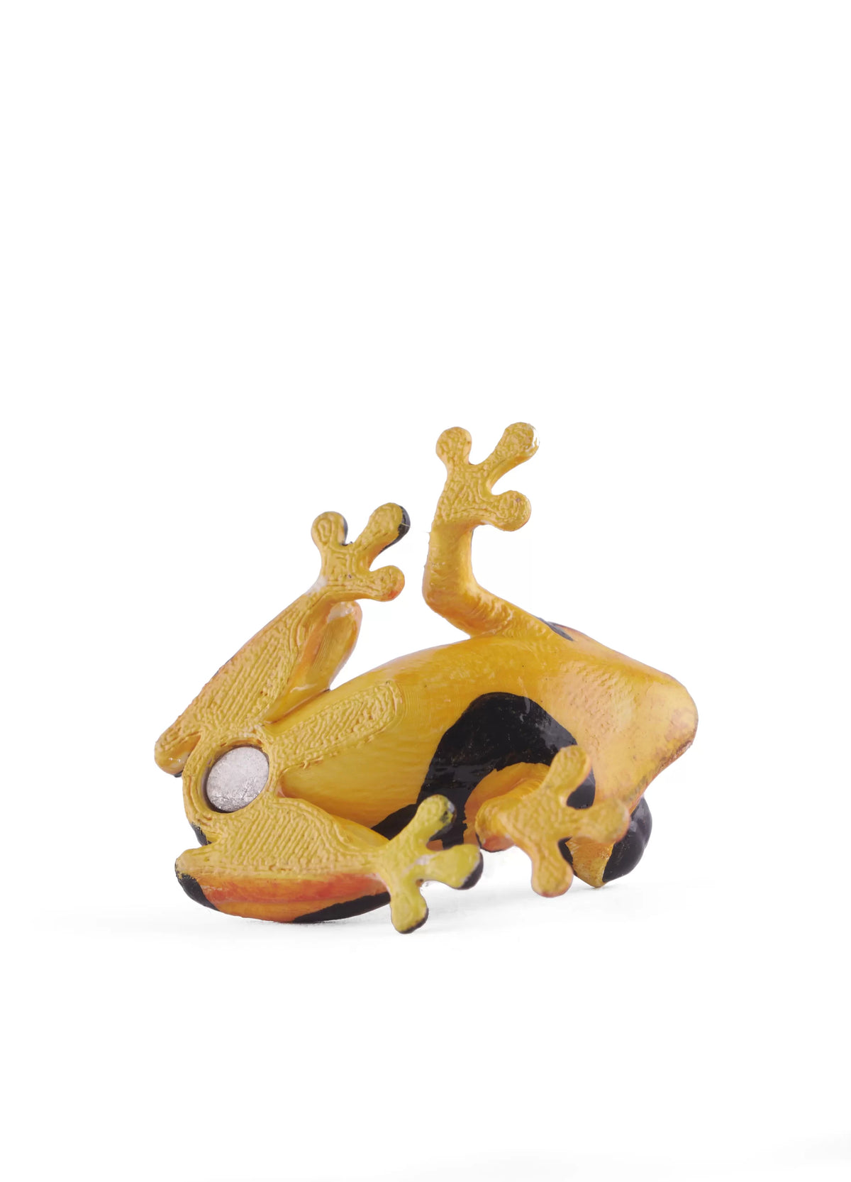 Hand-Painted Colombian Frog 3D printed fridge magnet