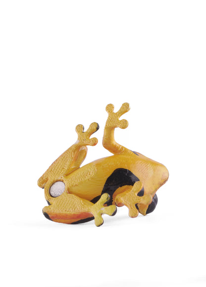 Hand-Painted Colombian Frog 3D printed fridge magnet