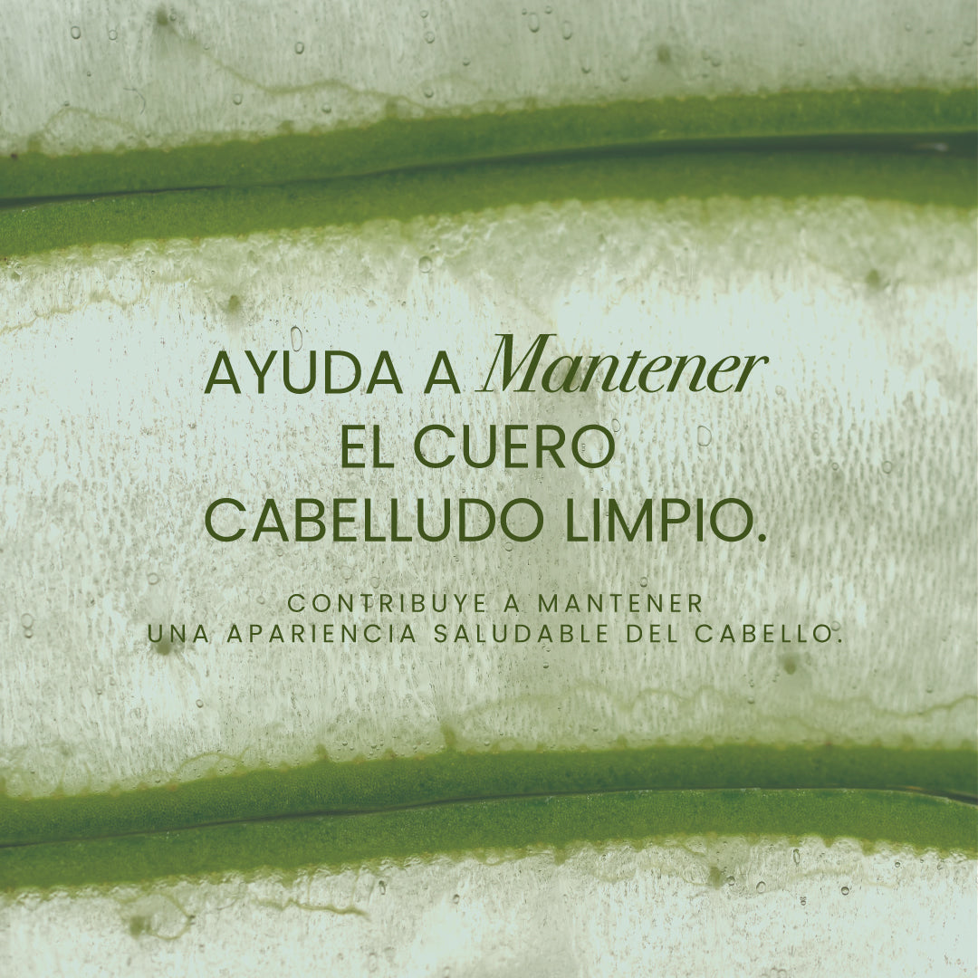 Aloe Vera Shampoo 500 ml