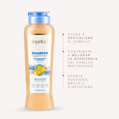 Silk Protein Shampoo 500 ml