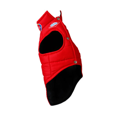 Achiras Padded Dog Vest