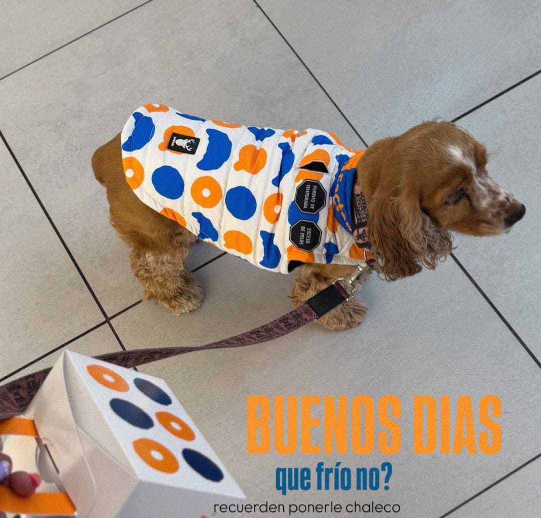 Donut Factory Padded Dog Vest