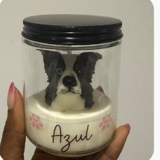 Border Collie silicone candle mold