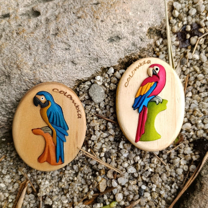 Macaw with Colombian Flag Wooden Fridge Magnet